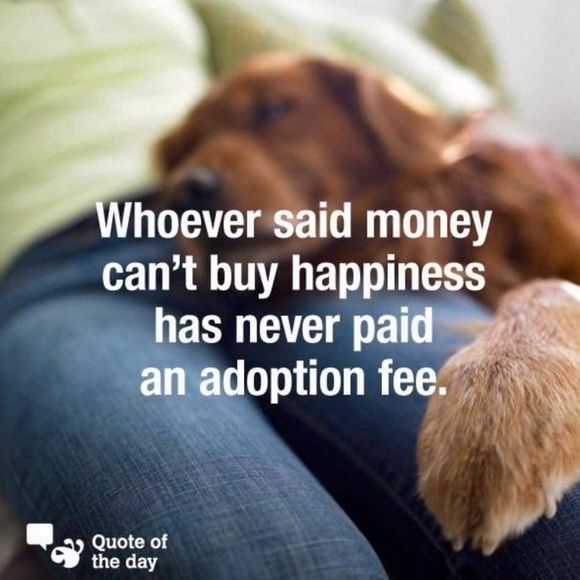 Meet your Posher, Shawna - Picture 1 of 1